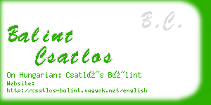 balint csatlos business card